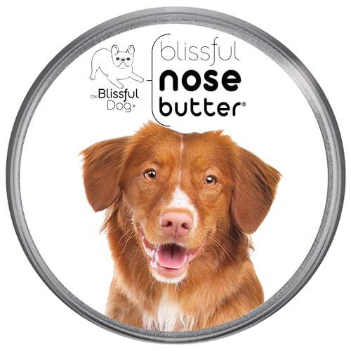 Nova Scotia Duck Tolling Retriever Unscented Nose Butter (Nova Scotia Duck Tolling Retriever / 16 Ounce)