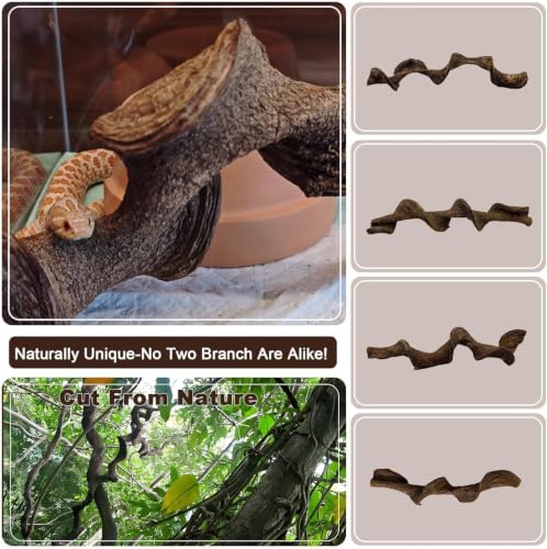 2PCS Natural Reptile Climbing Branches Decor (2PCS|S:0.75-1.25"D,13"L)