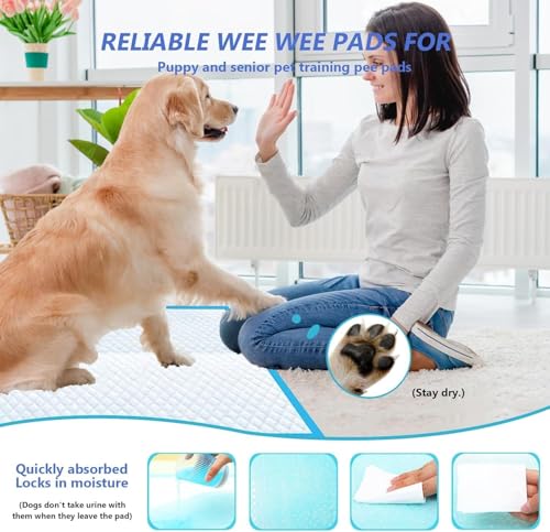 XXXL Puppy Pee Pads for Dogs 31"x47" 100 Count (31"x47" 100Count)