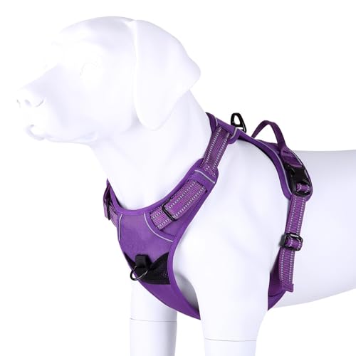 Truelove No Pull Dog Harness with Easy Control Handle and 2 Leash Attachments (Large / purple)