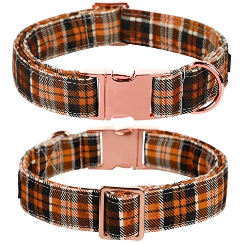 Halloween Dog Collar with Bowtie (C:O&B Grid / X-Small (Pack of 1))