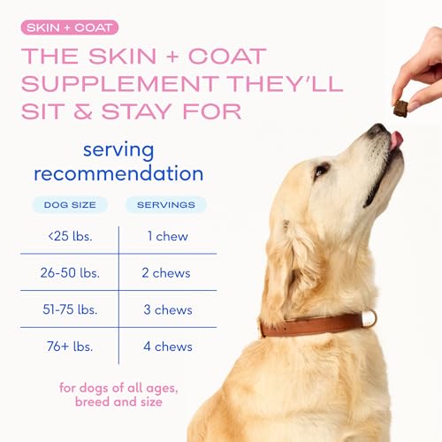 Skin & Coat Chews (60 Chews)