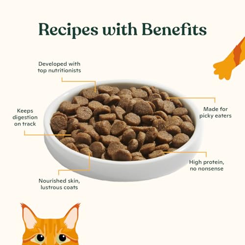 Dry Cat Kibble 4lb Bag (4 Pound (Pack of 1))
