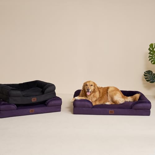 Orthopedic XXL Dog Bed (Purple / 48.0"l X 35.0"w X 8.0"th)