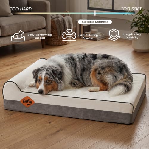 Orthopedic Dog Bed (40.0"L x 25.0"W x 5.5"Th / Dark Grey)