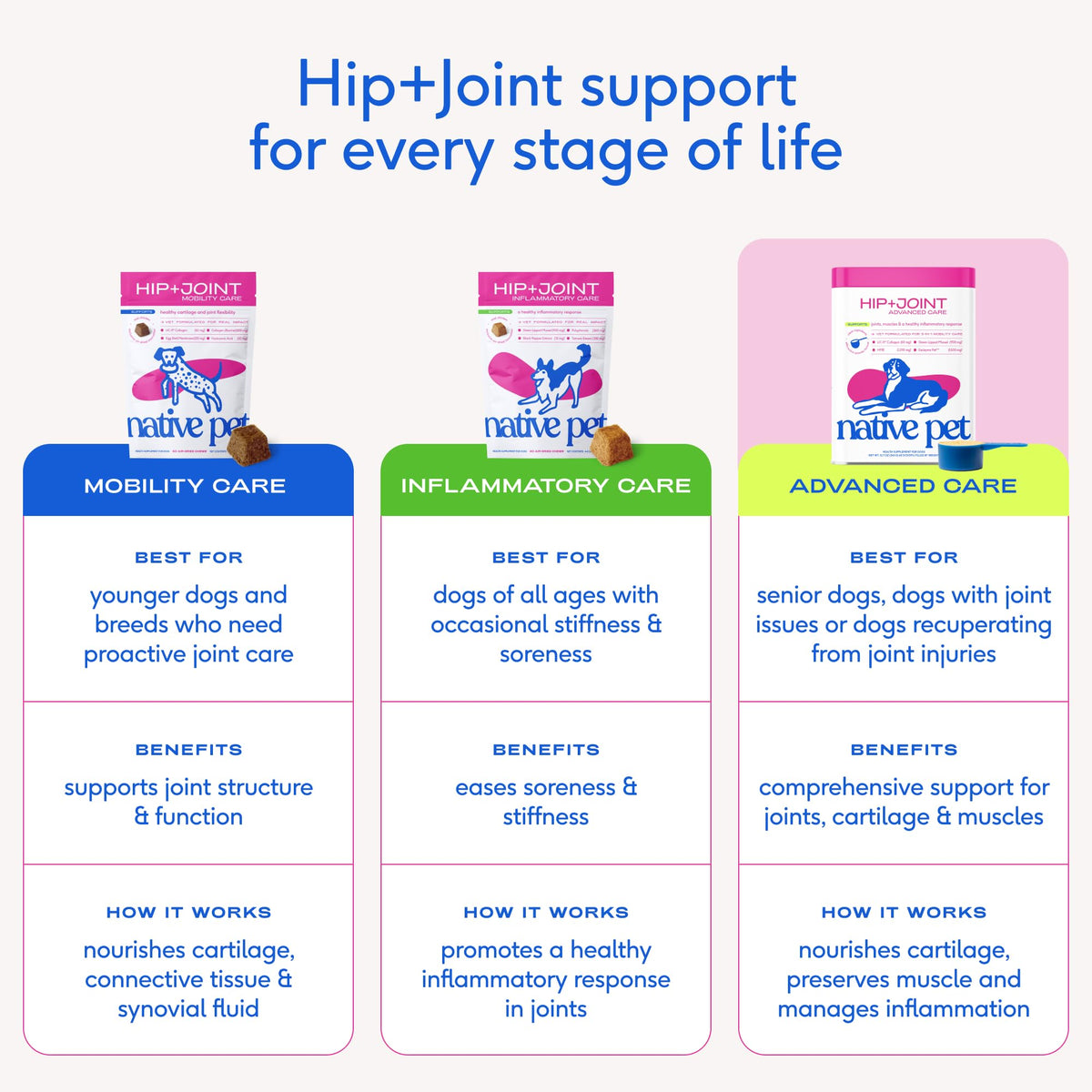 Hip & Joint Advanced Care Dog Joint Supplement Powder for Mobility & Movement Support (120 Count)