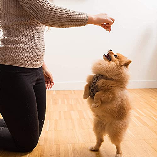 Freeze Dried Chicken Treats for Cats & Dogs