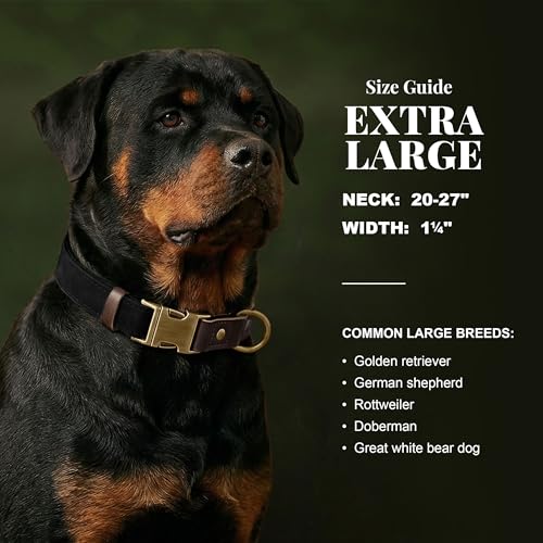 PU Leather Dog Collar for Large Dogs (Black / XL: Neck 20-27", Width 1¼")