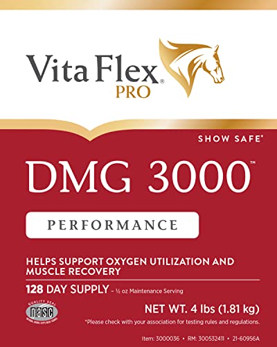 Pro DMG 3000 Horse DMG Concentrate