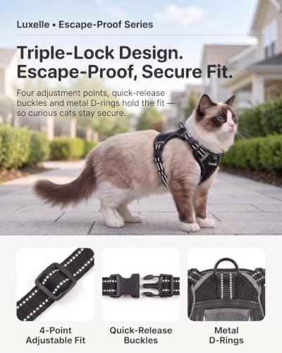 Escape Proof Cat Harness and Leash Set (Black / XS)