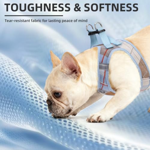 Dog Harness Collar and Leash Set No Pull for Small Medium Sized (Light Blue / S (CHEST 14.5"-16"))