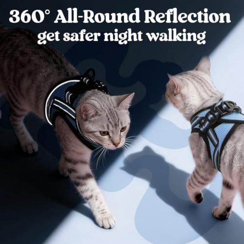 Cat Harness and Leash Set (XL / Light Blue)