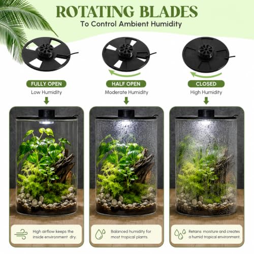 Glass Terrarium Kit with LED Grow Light for Desktop (9.8 x 5.9 Inch)