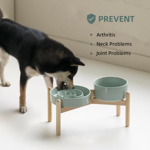 Elevated Slow Feeder Dog Bowls (Light Green)