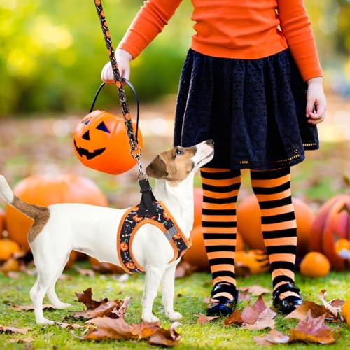 Halloween Dog Harness (Halloween Black / XXS (CHEST 11.5"-13"))