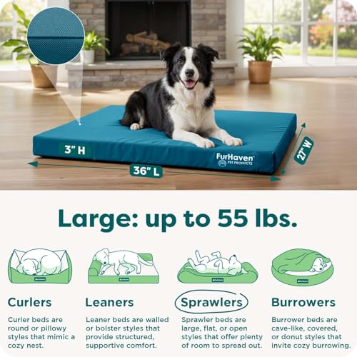 Water Resistant Orthopedic Dog Bed for Large Dogs (Large / Deep Lagoon)