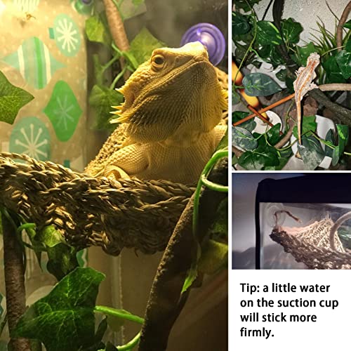 Bearded Dragon Hammock