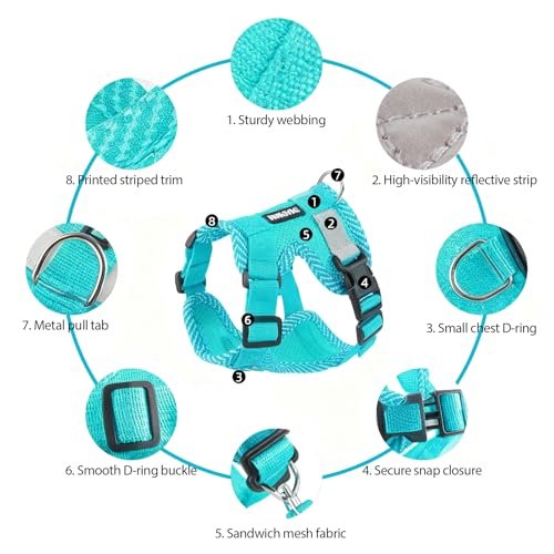 Cat Harness and Leash Set (Emerald / M)