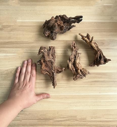 Small Natural Driftwood for Aquarium Styling Carefully Selected Natural Aquarium Decor Driftwood for Reptile Tank Reptile Tank Wood Decor (Driftwood 6-7inch 4pcs)