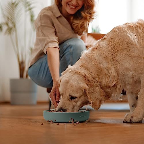 Slow Feeder Dog Bowls (Green / 2.5 Cups)