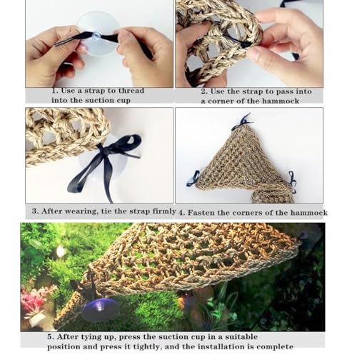 Bearded Dragon Tank Accessories Set