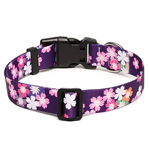 Adjustable Dog Collar (Medium / Floral Pink)