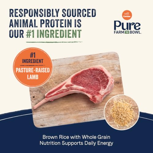 Pure Farm to Bowl Dog Food (4 Pound (Pack of 1))