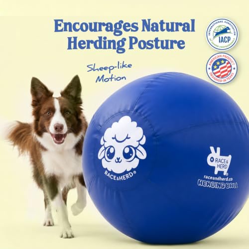 22" Herding Ball for Dogs Tetherball Set Outside (Ocean - 22" Tether Ball / Tether)