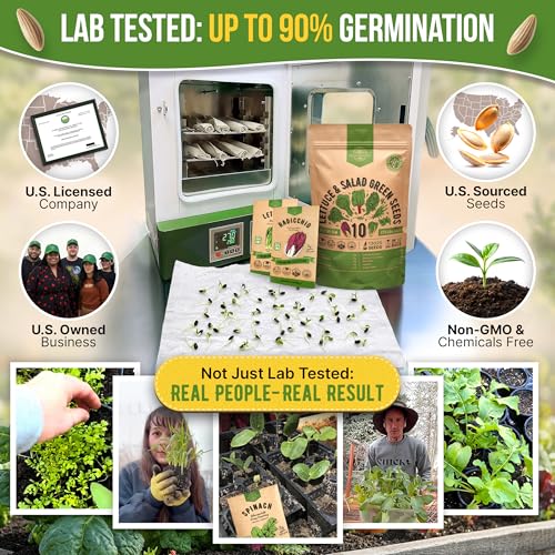 10 Lettuce & Salad Greens Seeds Variety Pack 13000+ Non