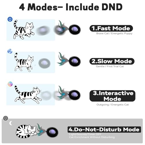 Interactive Cat Toy (No Cat No Life)
