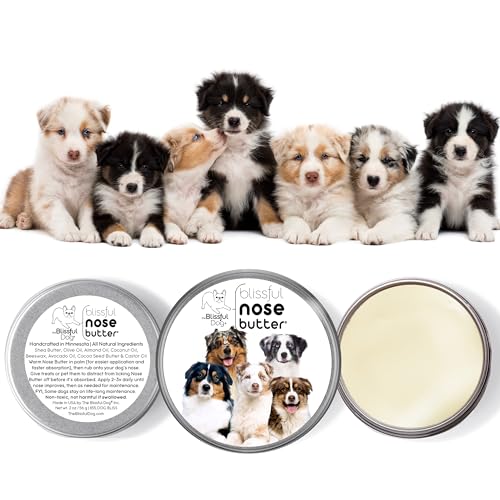 Australian Shepherd Nose Butter for Dry (Australian Shepherd / 1 Ounce)