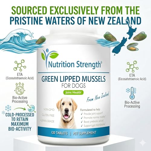 Green Lipped Mussels for Dogs