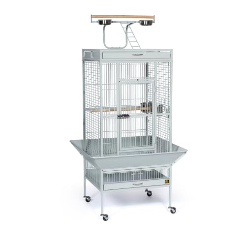 Wrought Iron Select Bird Cage (Pewter / 24.0"L x 20.0"W x 60.0"H)