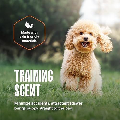 Puppy Pads Pet Pee Pads for Dogs & Puppy Training (22" x 22" (100 Count))