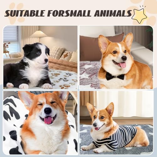 6 Pcs Washable Guinea Pig Blankets Absorbent Animal Fleece Bedding Waterproof Cage Liners Reusable Pet Pee Pad Sleep Mat Pad Cover for Hamster Ferret Rabbit Chinchilla Hedgehog (6 Black Bulk / 20" x 30")