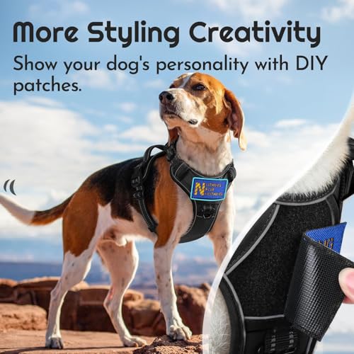 Dog Harness No Pull for Large Dogs (Large / Black)