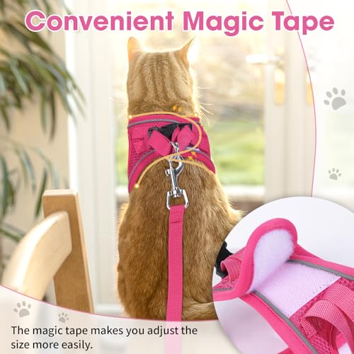 Cat Vest Harness and Leash Set (Pink / S)