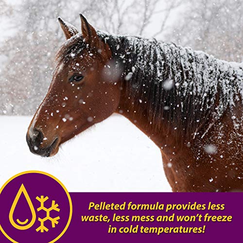 Farnam Horse Health Red Cell Pellets (Brown / 4 Pound (Pack of 1))