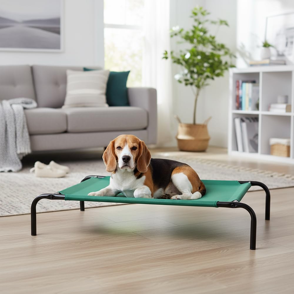 Cooling Breathable Elevated Dog Bed with Metal Frame for Medium Dogs (Green / Medium)