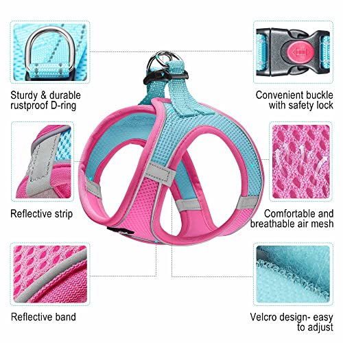 Dog Harness with Leash Set (S / Blue / Pink)