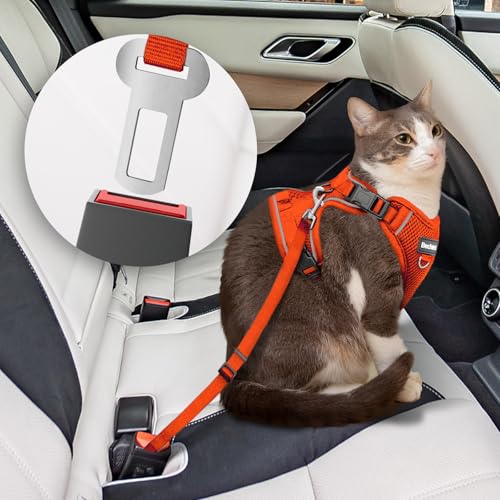 Cat Harness and Leash for Walking (Orange / Small (7-12lb))