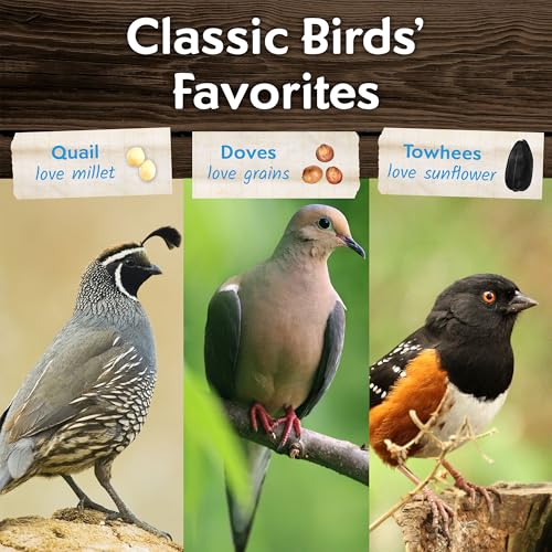 Dove & Ground Feeding Wild Bird Seed (12 Pound (Pack of 1))