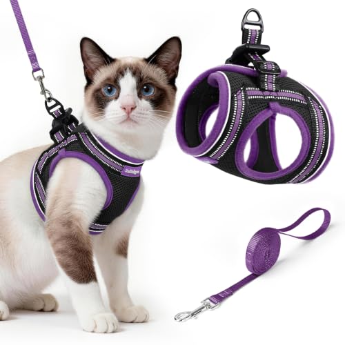 Cat Harness and Leash Set (L / Black & Purple)