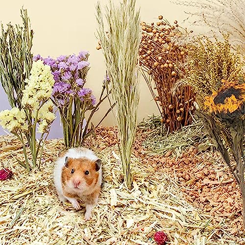 Natural Ear of Grain Flower&Herb Bedding Mate Habitat Decor (Flower Style)
