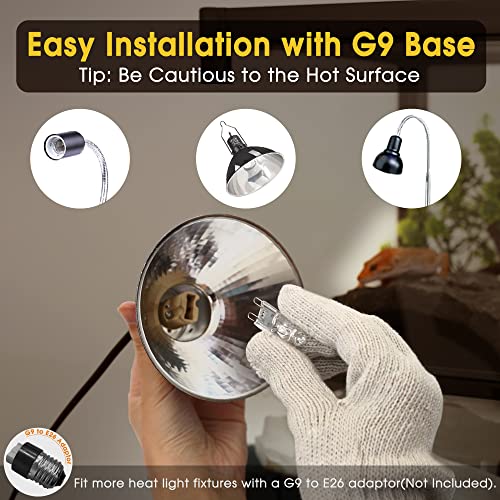 G9 Heat Lamp Bulbs for Reptile Mini Reptile Light Warm 50W 2 Pack (Warm Bulb / 2 Pack)