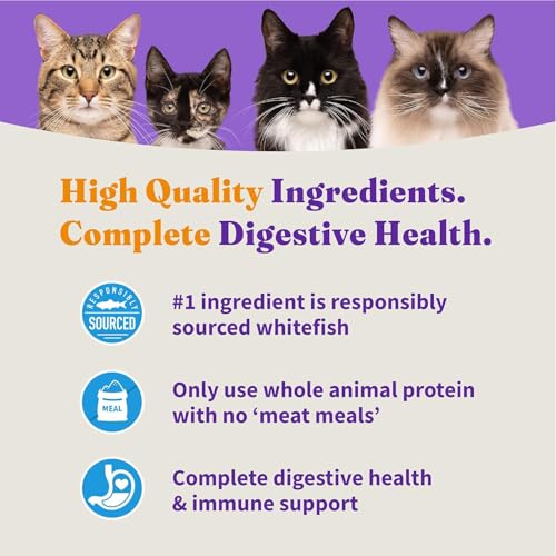 Holistic Dry Cat Food