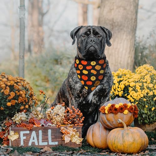 Fall Dog Bandanas (Small / Fall-Black, Yellow)