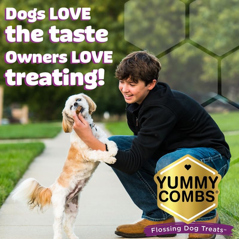 Dog Dental Treats (Mini Pack)