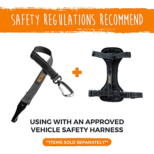 Dog Seat Belt For Car (Latch Bar Attachment)