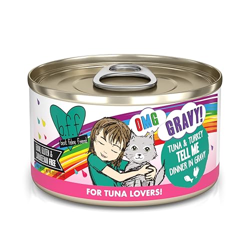 B.F.F. OMG Best Feline Friend Oh My Gravy! (2.8 Ounce (Pack of 12))